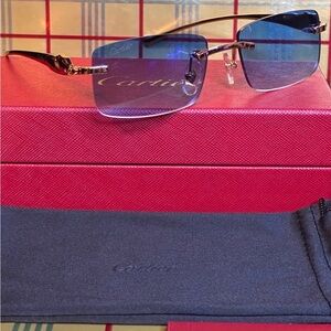 Cartier Unisex Panther Sunglasses
